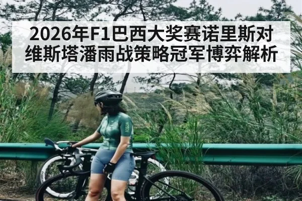 2026年F1巴西大奖赛诺里斯对维斯塔潘雨战策略冠军博弈解析